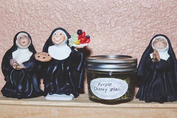 nuns_grow_marjuana_15