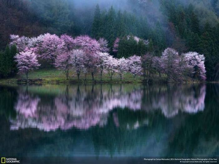 national_geographic_nature_28