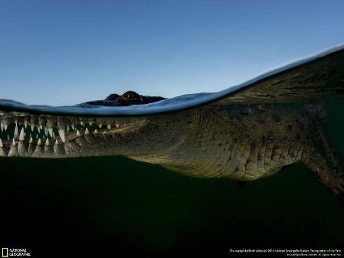 national_geographic_nature_35