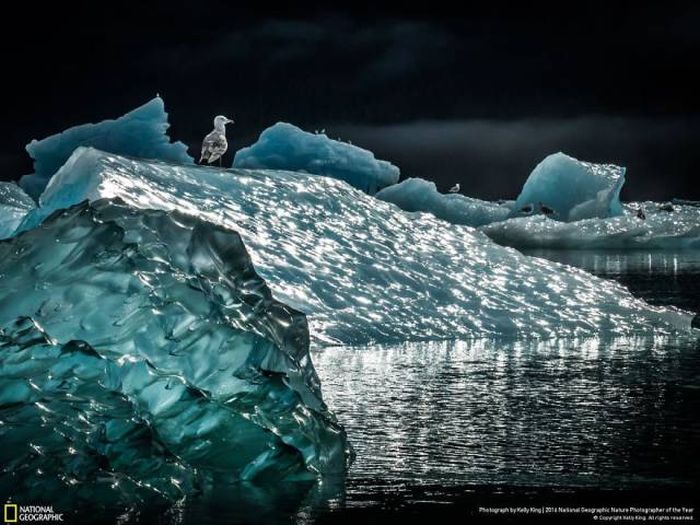 national_geographic_nature_42